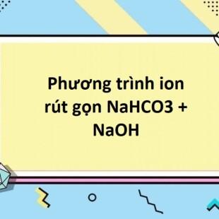 Phương trình phản ứng giữa pt ion nahco3 + naoh và ứng dụng trong phân tích