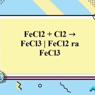 Phương trình hóa học fecl3 cộng gì ra fecl2 đầy đủ và chính xác nhất 2023