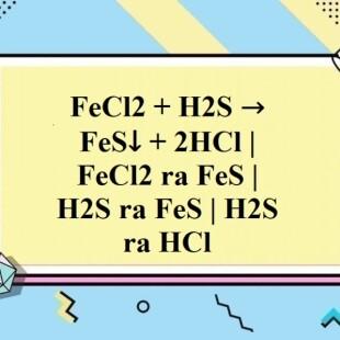 Làm thế nào để cân bằng phương trình hóa học FeCl2 + H2S → FeS + HCl?
