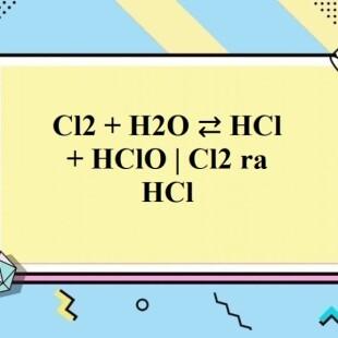 Cl2 + H2O ⇄ HCl + HClO là phản ứng nào?

