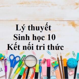 Lý thuyết Sinh học 10 Bài 12 (Kết nối tri thức): Truyền tin tế bào