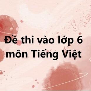 Tổng hợp Đề thi vào lớp 6 môn Tiếng Việt năm 2023 chính thức (cả nước, có lời giải)