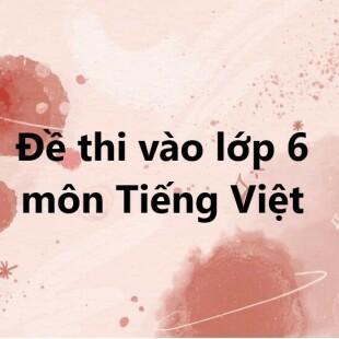 Đề thi vào lớp 6 môn Tiếng Việt trường Nguyễn Tất Thành 2023 có đáp án