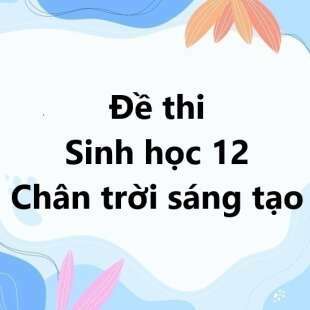 Bộ 10 đề thi học kì 1 Sinh học 12 Chân trời sáng tạo có đáp án năm 2024