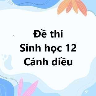 Bộ 10 đề thi học kì 1 Sinh học 12 Cánh diều có đáp án năm 2025