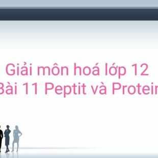 Giải Hóa học 12 Bài 11: Peptit và protein