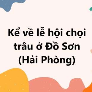 TOP 30 Kể về lễ hội chọi trâu ở Đồ Sơn (Hải Phòng) 2025 SIÊU HAY