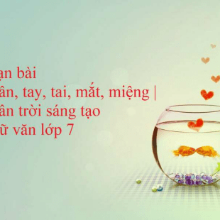 Khi làm việc hay chơi thể thao, những phần cơ thể nào cần sự di chuyển của chân và tay?
