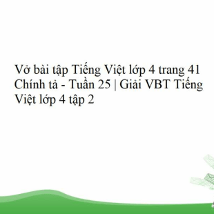 Vở bài tập Tiếng Việt lớp 4 trang 41 Chính tả | Giải VBT Tiếng Việt lớp 4 tập 2