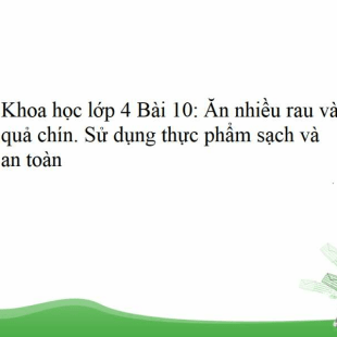 Khoa học lớp 4 trang 22, 23 Bài 10: Ăn nhiều rau và quả chín. Sử dụng thực phẩm sạch và an toàn