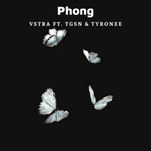 lời bài hát vstra phong