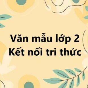 TOP 20 Viết đoạn văn thể hiện tình cảm, cảm xúc của em khi năm học sắp kết thúc 2024 SIÊU HAY