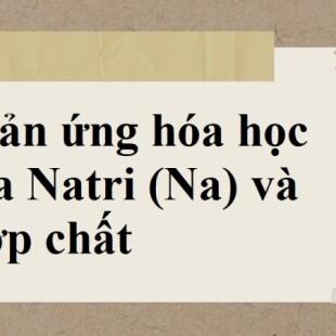 Na2O + HCl → NaCl + H2O | Na2O ra NaCl