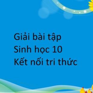 Vi sinh vật có vai trò rất quan trọng với con người và tự nhiên. Hãy kể một số ví dụ về vai trò của vi sinh vật trong đời sống hàng ngày