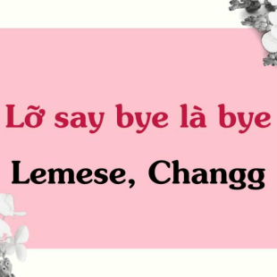 Lời bài hát Lỡ say bye là bye - Lemese, Changg