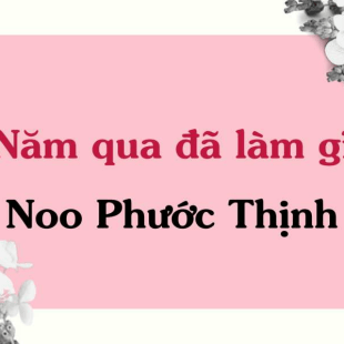 Lời bài hát Năm qua đã làm gì - Noo Phước Thịnh