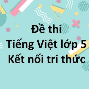 Top 100 Đề thi Tiếng Việt lớp 5 Kết nối tri thức năm học 2024 - 2025 mới nhất