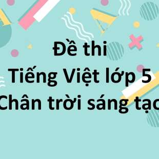 Top 100 Đề thi Tiếng Việt lớp 5 Chân trời sáng tạo năm học 2024 - 2025 mới nhất