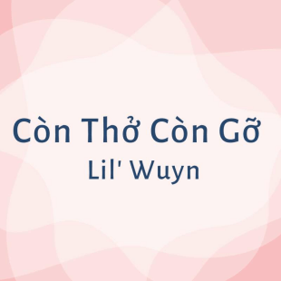 Bài hát Còn thở là còn gỡ - Lil Wuyn thuộc thể loại gì?
