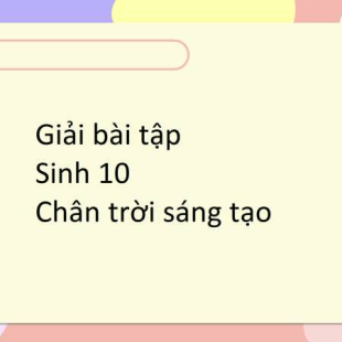 Tìm hiểu về enzyme là gì tính đặc hiệu và cách ứng dụng trong sinh học molecula