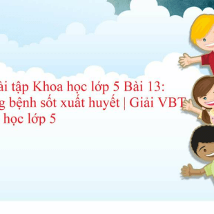 Vở bài tập Khoa học lớp 5 trang 24, 25 Bài 13: Phòng bệnh sốt xuất huyết | Giải VBT Khoa học lớp 5