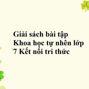 Sbt Khoa Học Tự Nhiên 7 Bài 39 (Kết Nối Tri Thức): Sinh Sản Vô Tính Ở Sinh  Vật