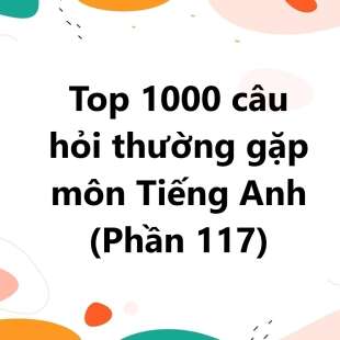 Top 1000 câu hỏi thường gặp môn Tiếng Anh có đáp án (phần 117)