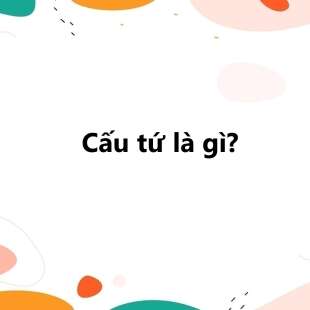 Cấu tứ là gì? Ví dụ và ý nghĩa của cấu tứ trong thơ