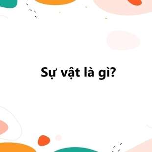 Sự vật là gì? Từ chỉ sự vật là gì? Viết đoạn văn có danh từ chỉ sự vật