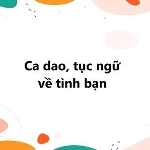 TOP 100 Câu ca dao, tục ngữ về tình bạn 2025 SIÊU HAY