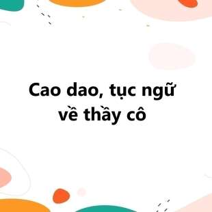 TOP 100 Cao dao, tục ngữ về thầy cô 2025 Ý NGHĨA NHẤT