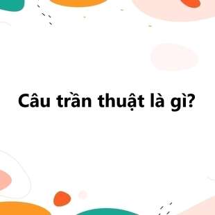 Câu trần thuật là gì? Chức năng, đặc điểm của câu trần thuật