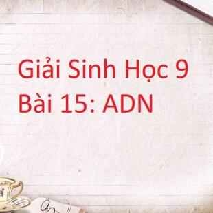 15 Mẫu bánh sinh nhật cho bé gái 9 tuổi cực dễ thương