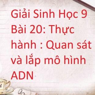 Tổng hợp 80 hình về mô hình adn lớp 9  NEC