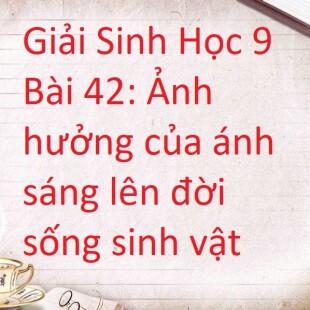 Giải Sinh Học 9 Bài 42: Ảnh hưởng của ánh sáng lên đời sống sinh vật