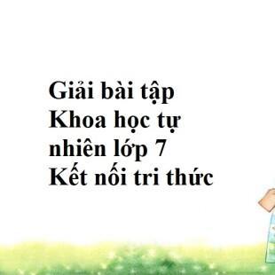 Có thể sử dụng phương pháp nào khác để xác định chiều đường sức từ?
