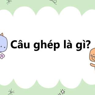 Câu ghép là gì? Cách nối các vế câu ghép; Các loại câu ghép