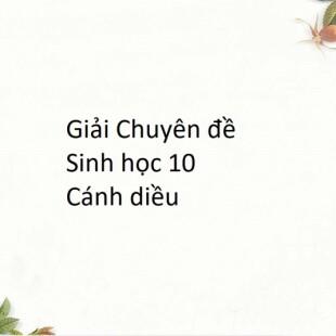 Các thành phần cần thiết trong quy trình sản xuất enzyme tái tổ hợp là gì?
