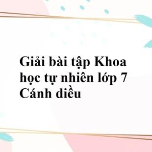 Dựa vào phương trình quang hợp, giải thích vai trò của cây xanh trong tự nhiên
