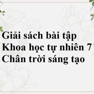 Vì sao khi đi câu cá, những người có kinh nghiệm thường đi lại nhẹ nhàng và giữ im lặng