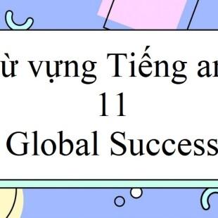 Từ Vựng Tiếng Anh Lớp 11 Unit 1: A Long And Healthy Life - Global Success