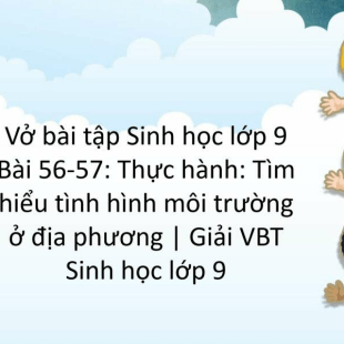 Vở Bài Tập Sinh Học Lớp 9 Bài 56-57: Thực Hành: Tìm Hiểu Tình Hình Môi  Trường Ở Địa Phương | Giải Vbt Sinh Học Lớp 9