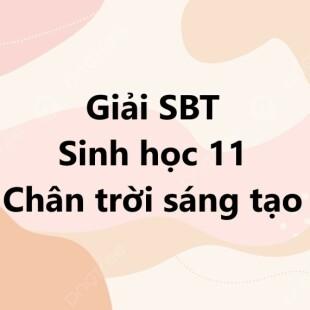 Giải SBT Sinh học 11 Ôn tập Chương 4 (Chân trời sáng tạo)
