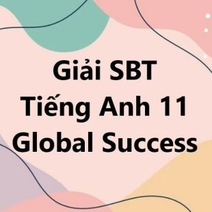 Giải SBT Tiếng Anh 11 trang 56, 57 Unit 6 Reading - Global Success Kết nối tri thức