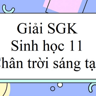 Giải SGK Sinh Học 11 Bài 19 (Chân Trời Sáng Tạo): Khái Quát Về Sinh ...