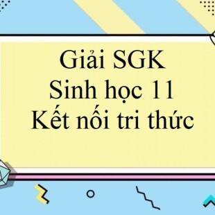 Giải SGK Sinh Học 11 Bài 14 (Kết Nối Tri Thức): Khái Quát Về Cảm ứng ở ...