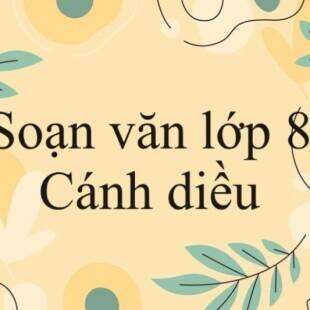 Ngữ văn 8 trang 108 Tập 2 Cánh diều