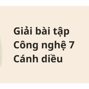 Cây trồng có thể được nhân giống thông qua phương pháp giâm cành nhưng cây cần có những yếu tố gì để thành công?
