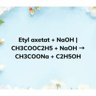 CH3COOC2H5 ra CH3COONa | CH3COOC2H5 ra C2H5OH | NaOH ra CH3COONa | Etyl ...