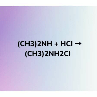 (CH3)2NH ra (CH3)2NH2Cl | (CH3)2NH + HCl → (CH3)2NH2Cl